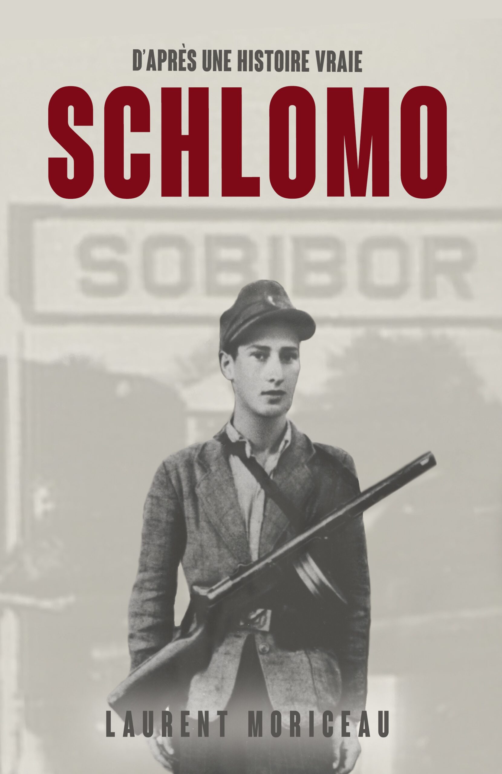 SCHLOMO - E-BOOK (PDF)